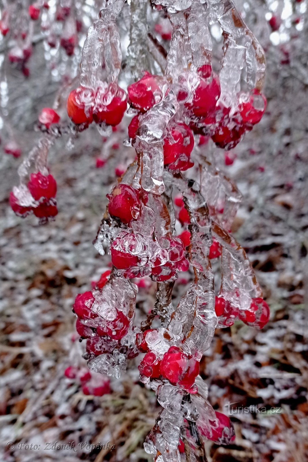 El invierno es mágico en Vanovo.