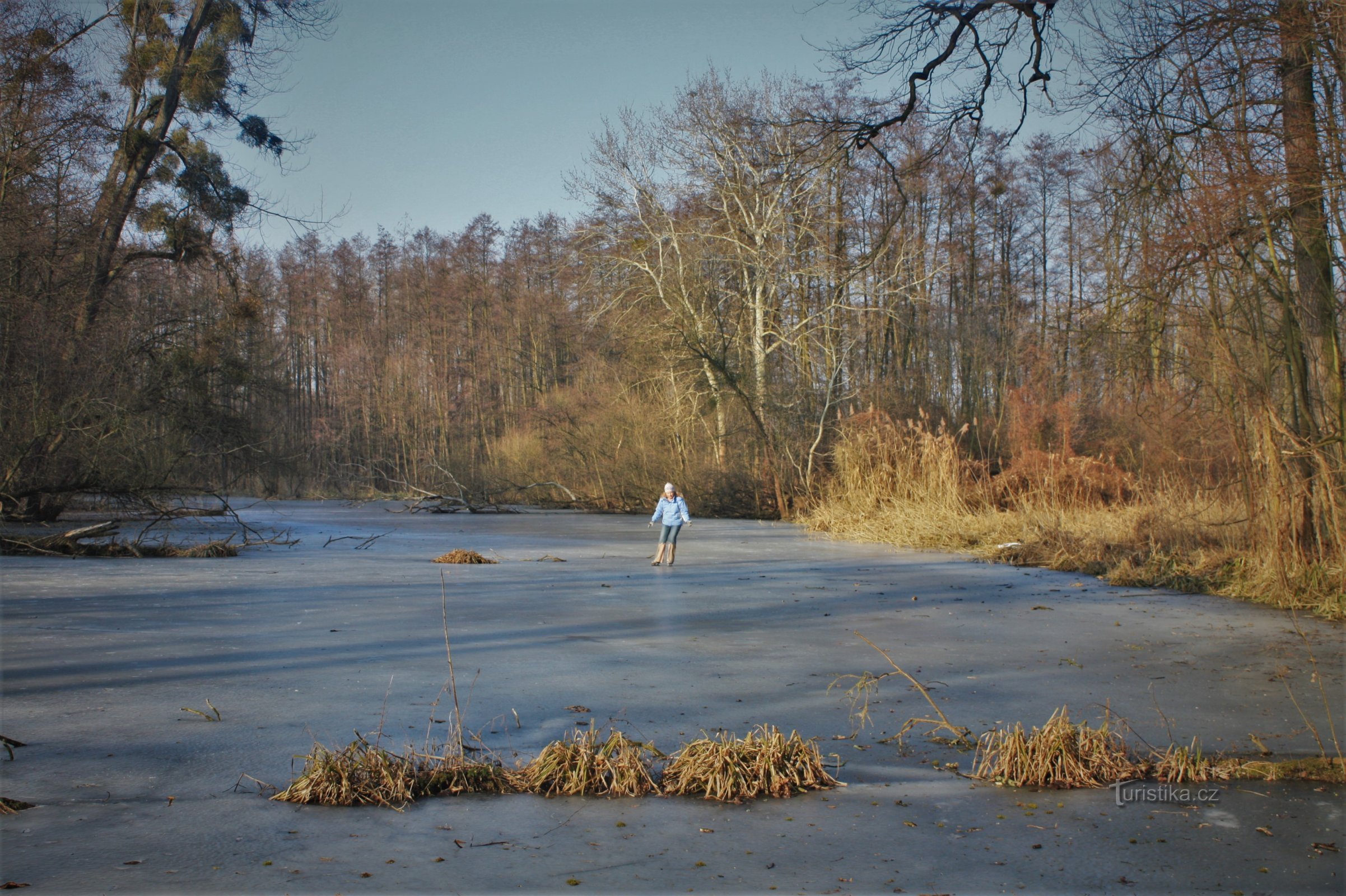 Vinter på de nedre løb af Šatava