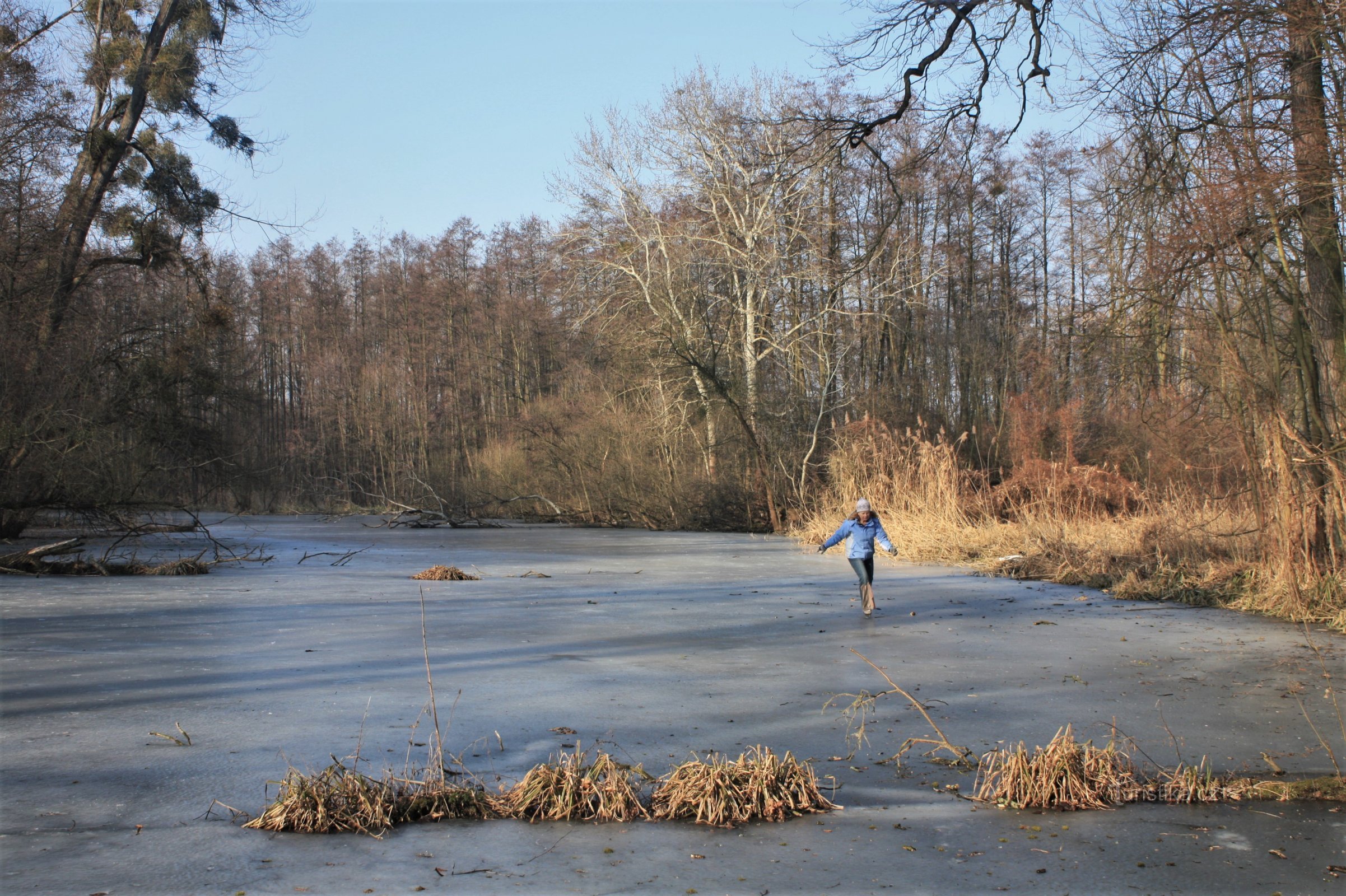 Winter op de benedenloop van de Šatava