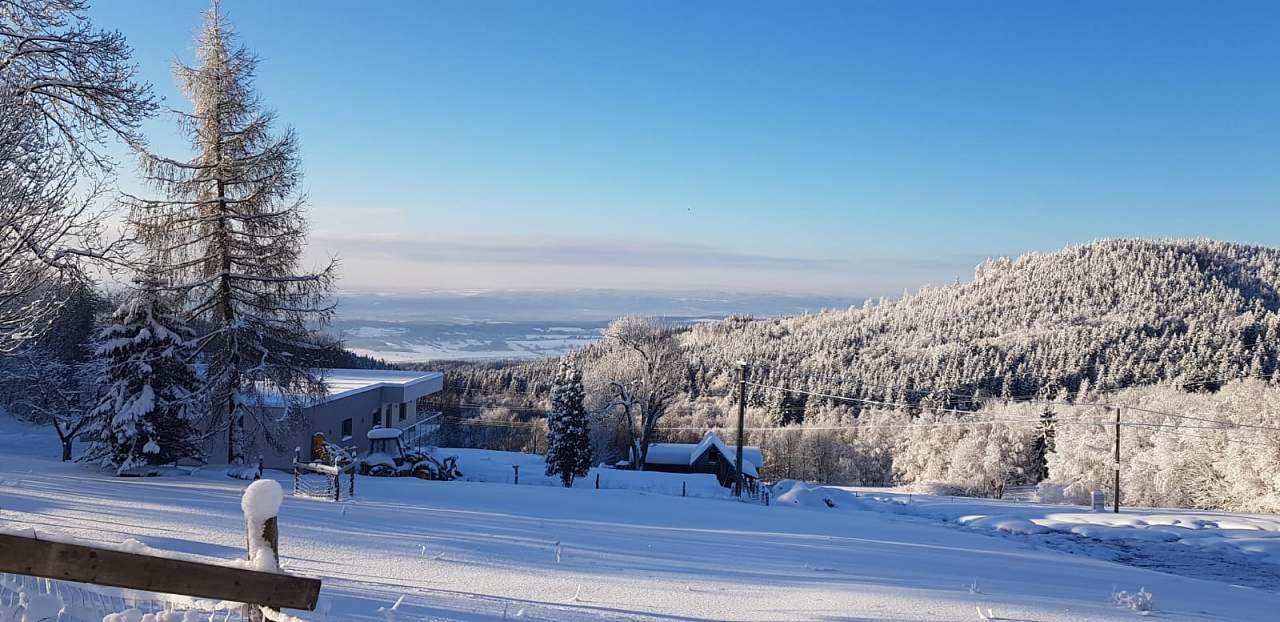 Zima na samotě u lesa