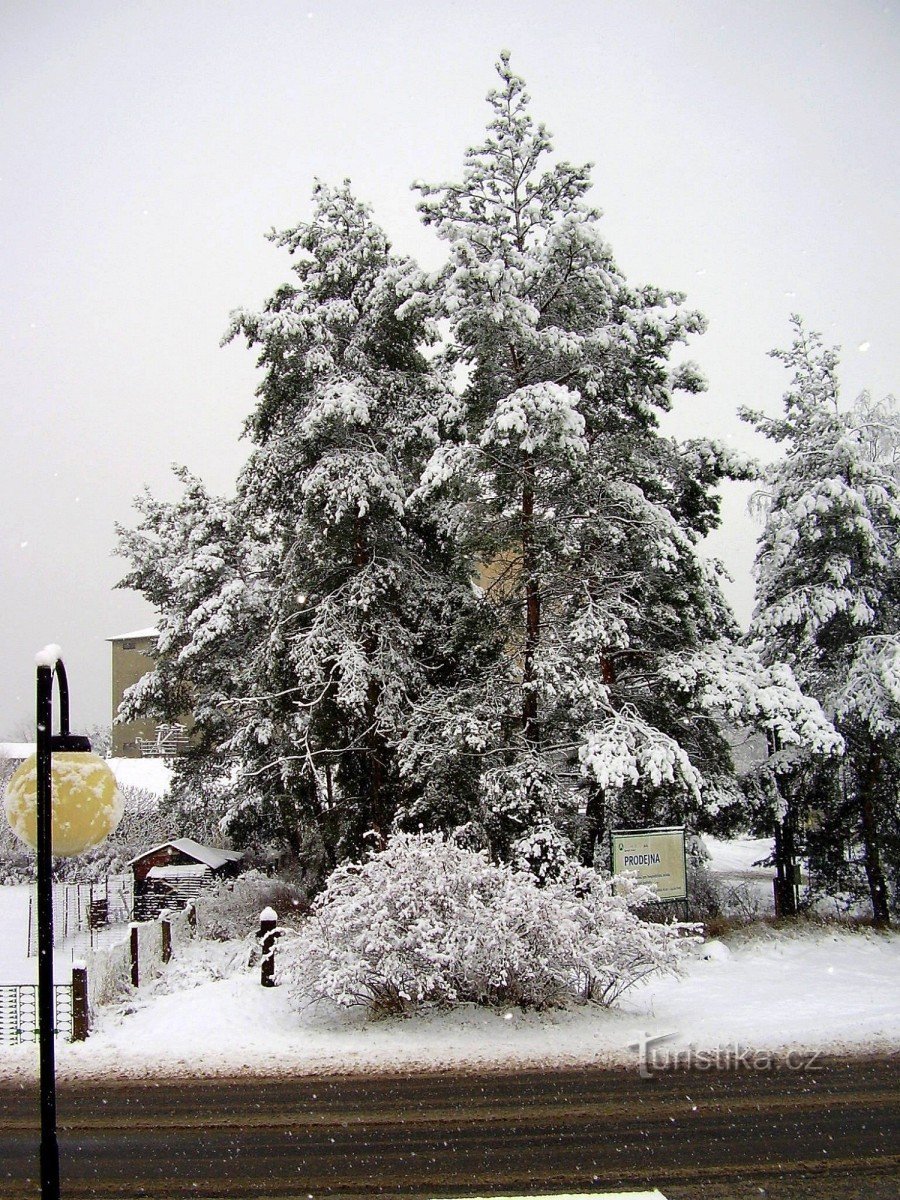 Winter outside the window