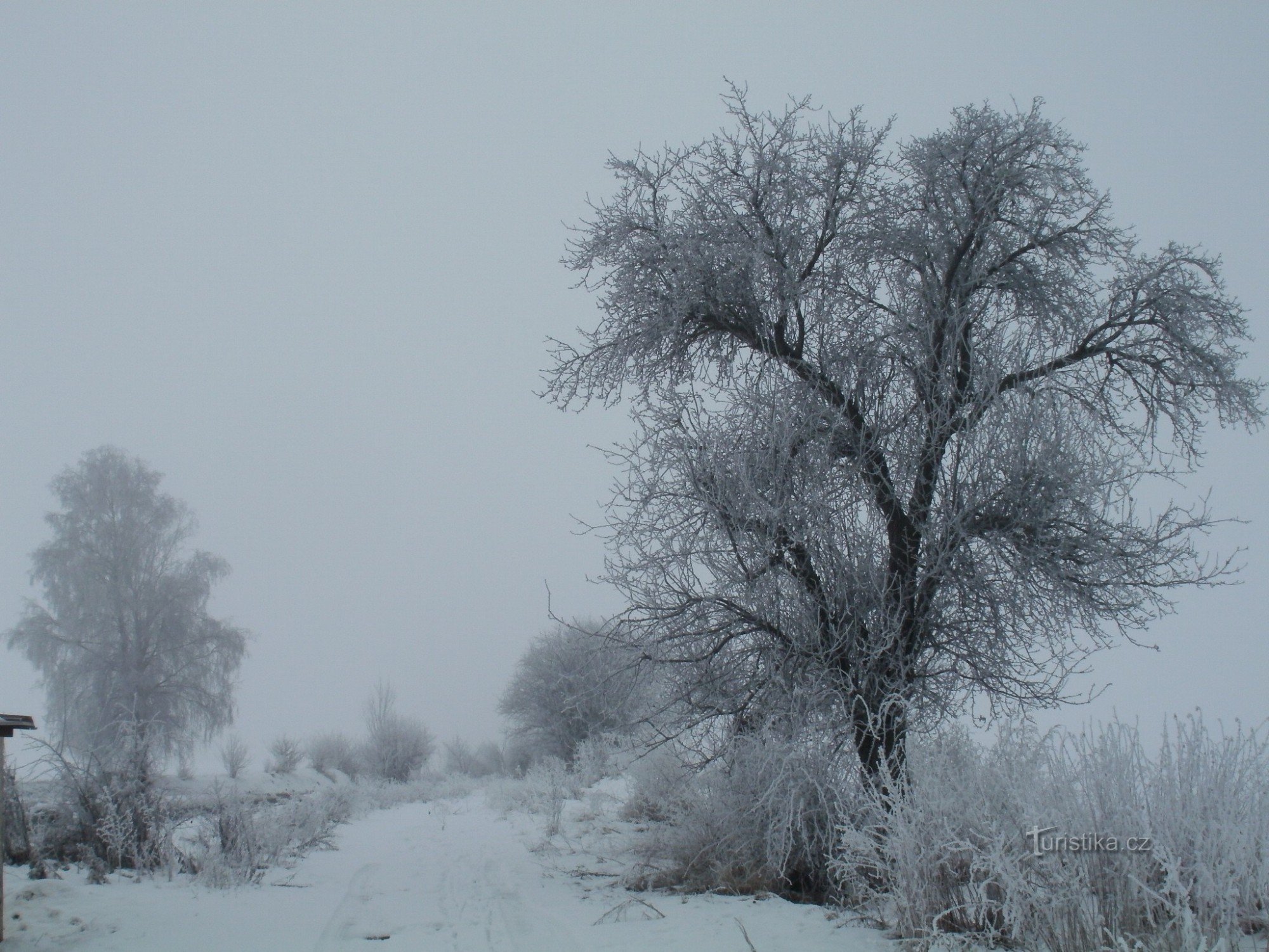 estrada de inverno na encruzilhada de Těšín