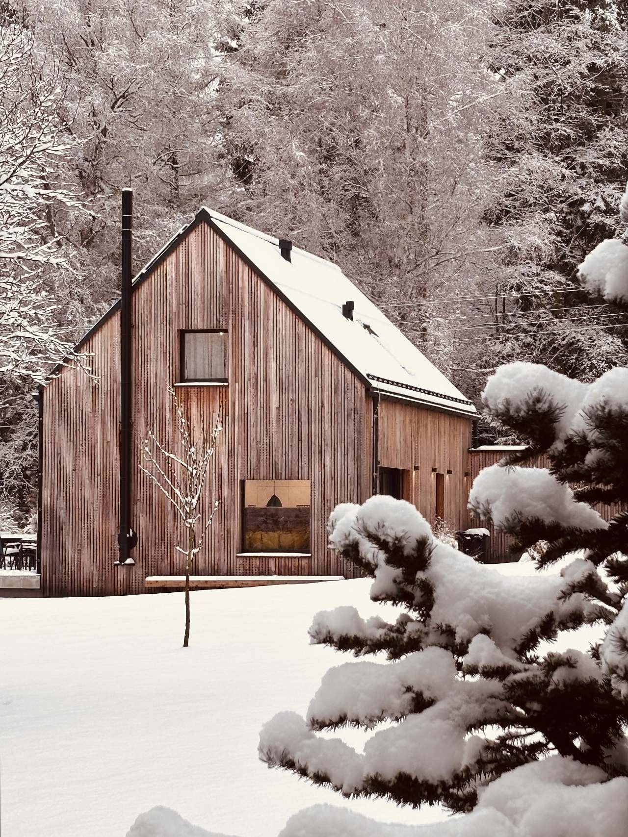 Zimní Jiná báseň