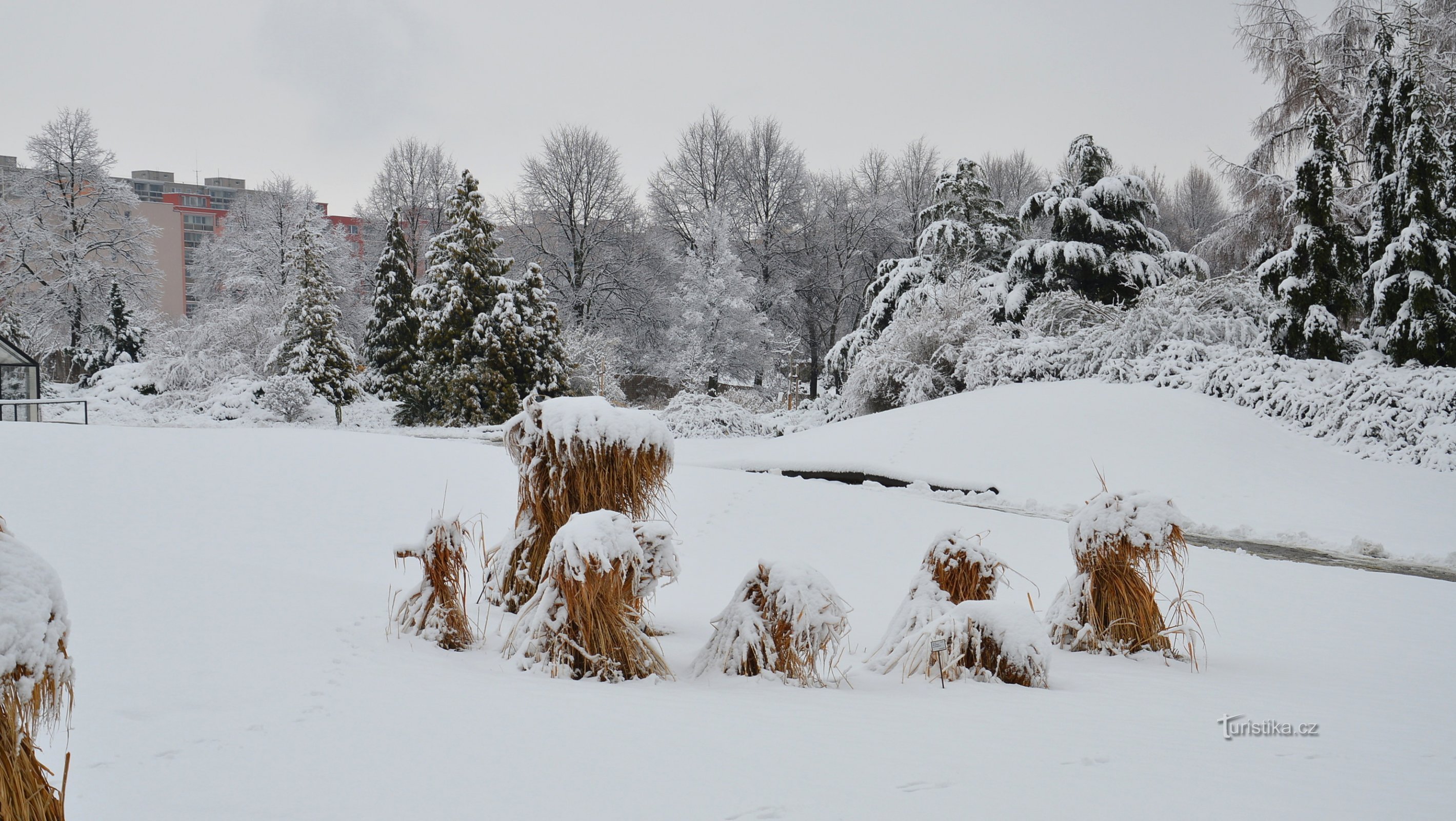 Paisagem de inverno