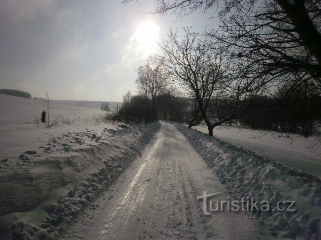 Genom Elbes vinterlandskap Sandsten Mikulášovice - Weifberg (utkikstorn) Sachsiska Schweiz