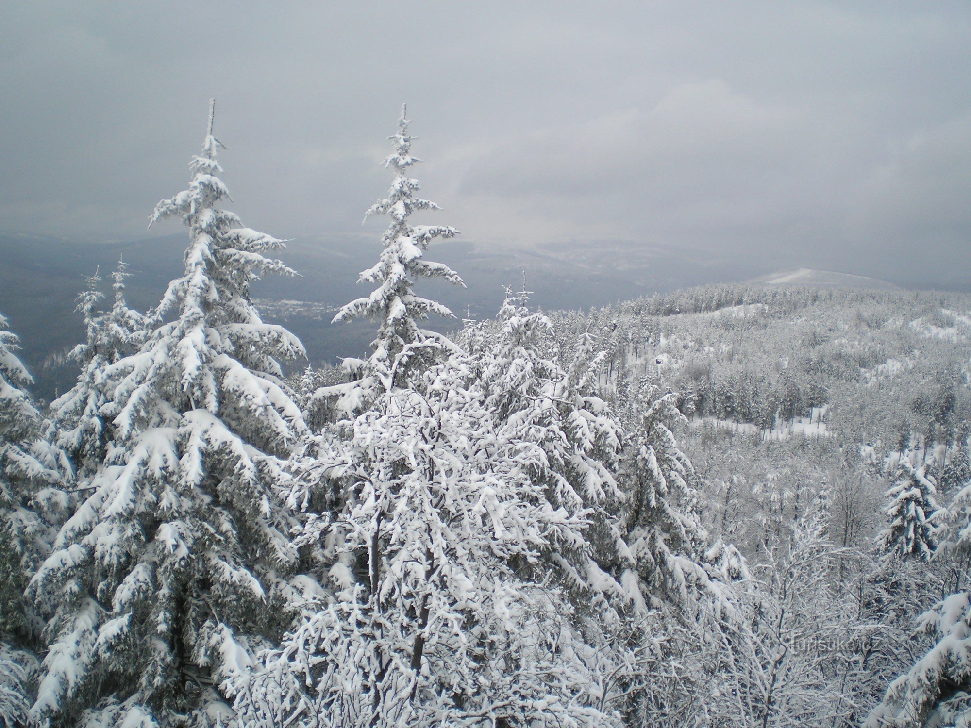 Talvi Krkonoše