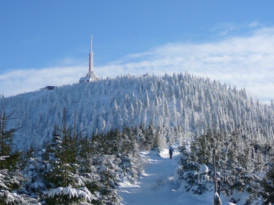 Winter Bald och fem killar