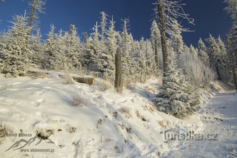 Winter Bald Mountain