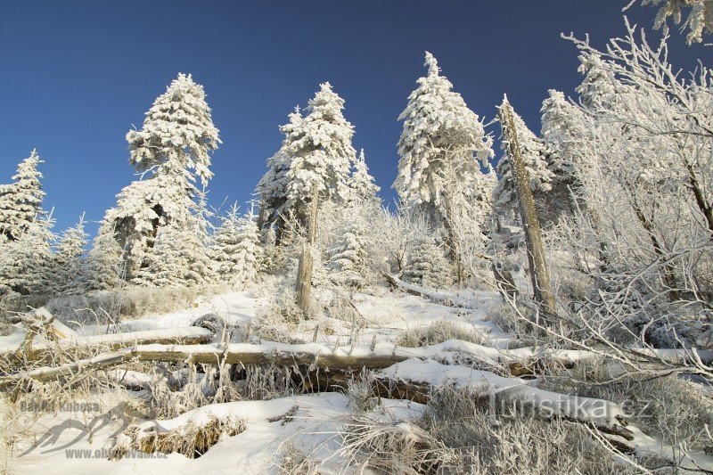 Montagne chauve d'hiver