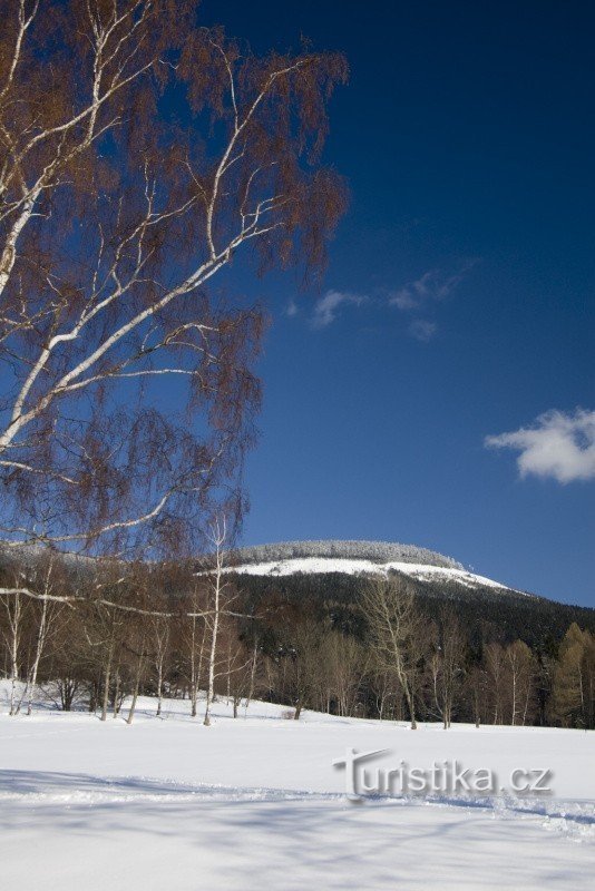 Vista de inverno de Nové Losin