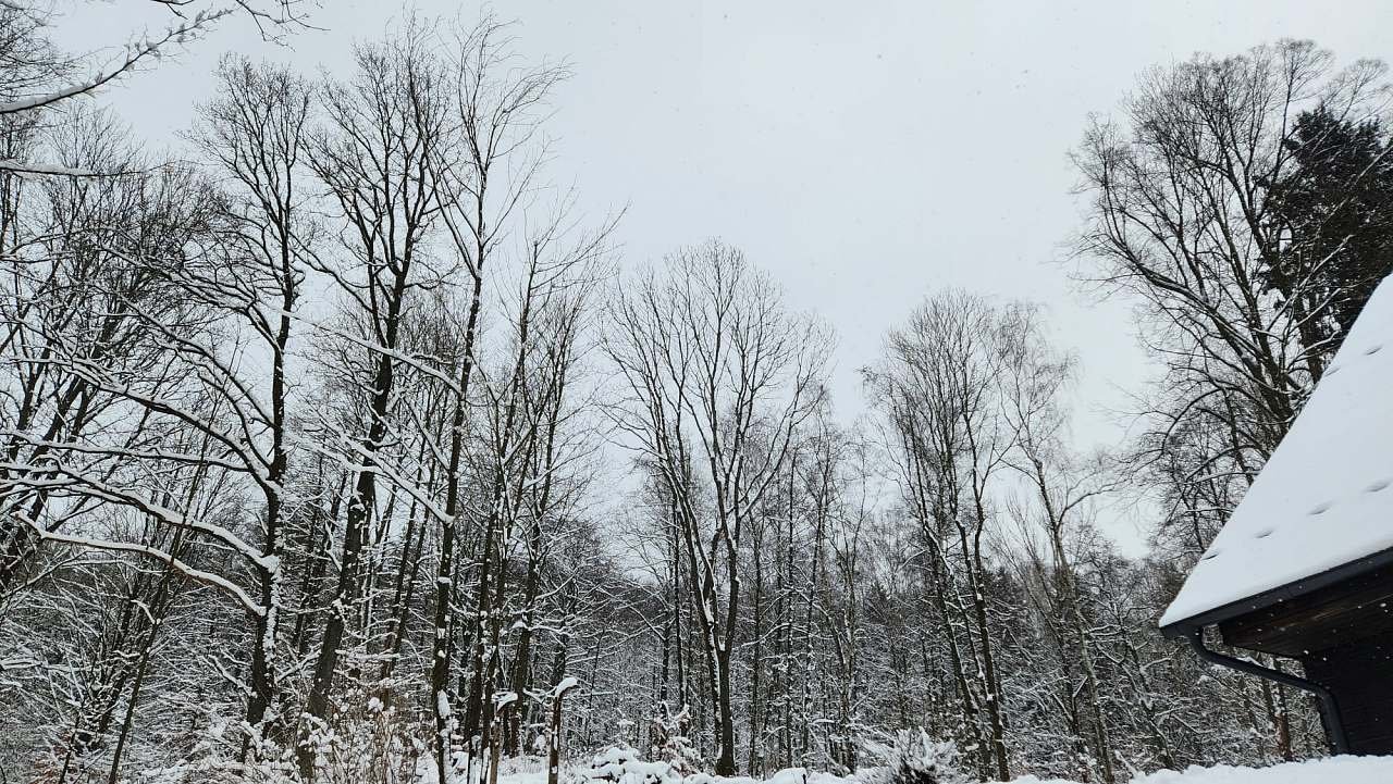 zimní pohled z domu