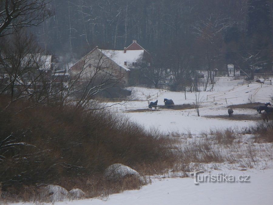 Zimski pogled s biciklističke staze