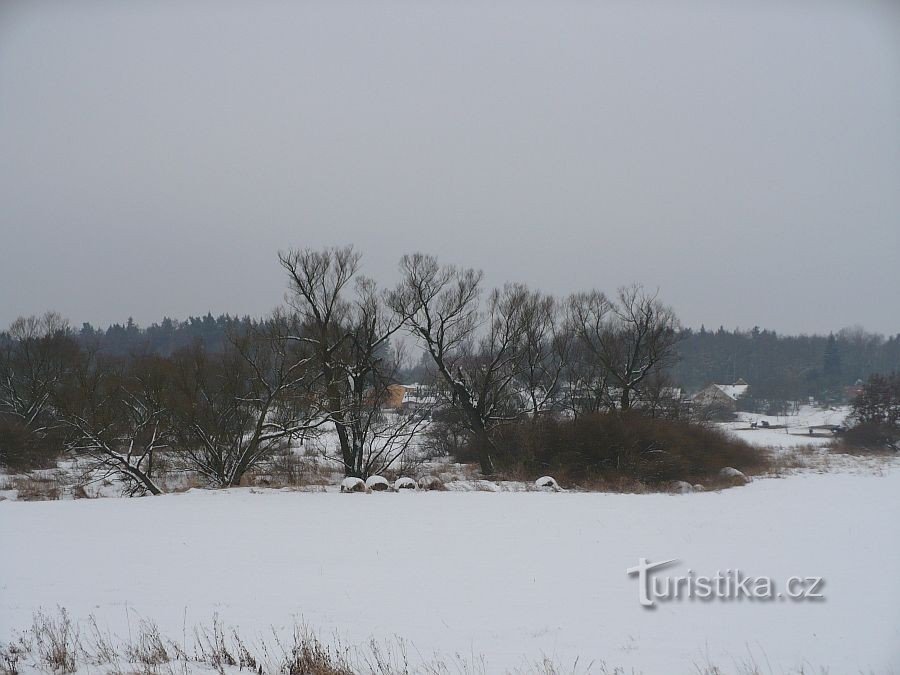 Viste invernali dalla pista ciclabile