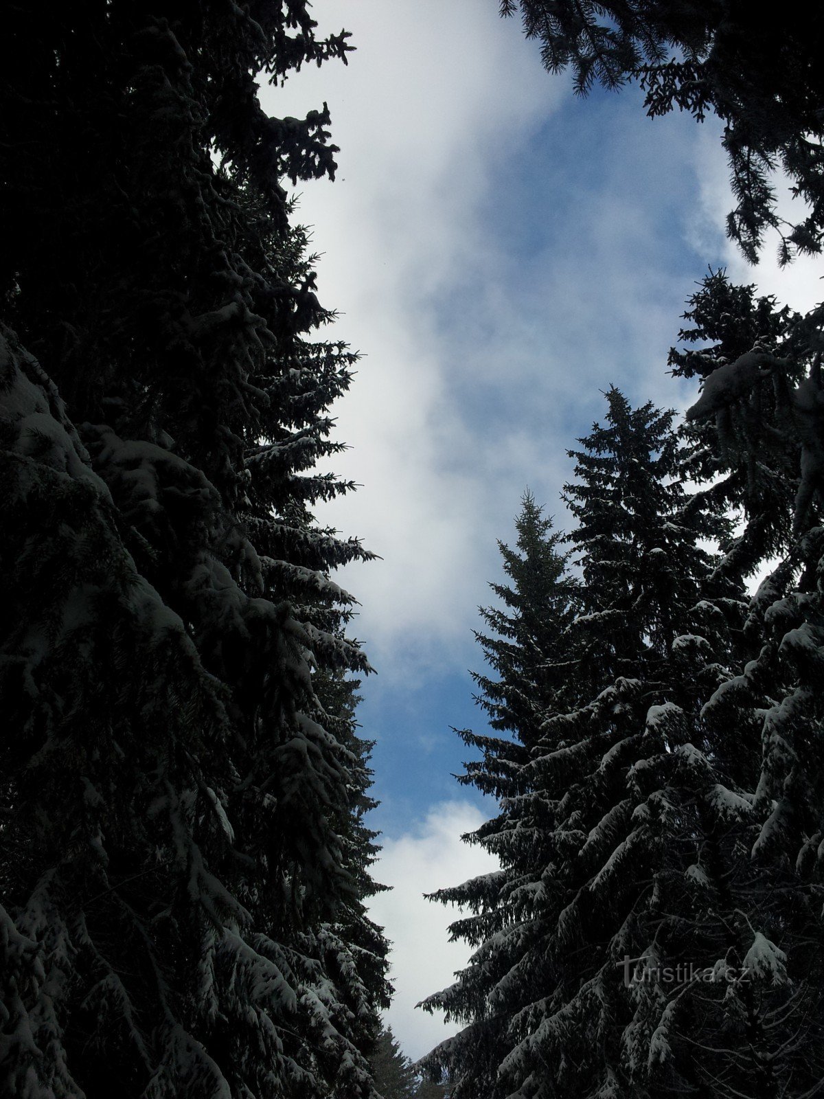 Caminhada de inverno de Beneck ao mirante de Žalý e de volta