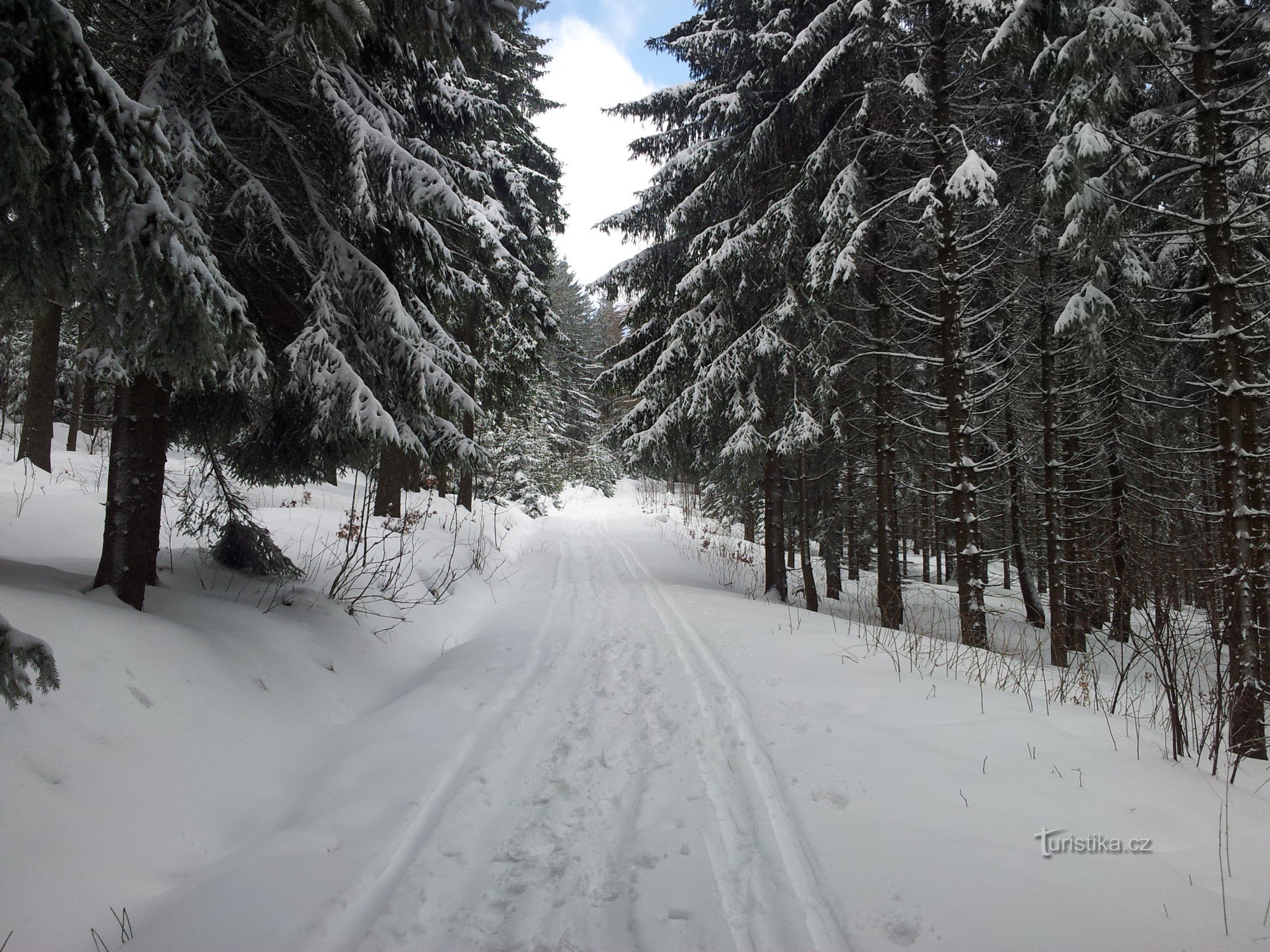 冬季从贝内克步行到 Žalý Lookout 并返回