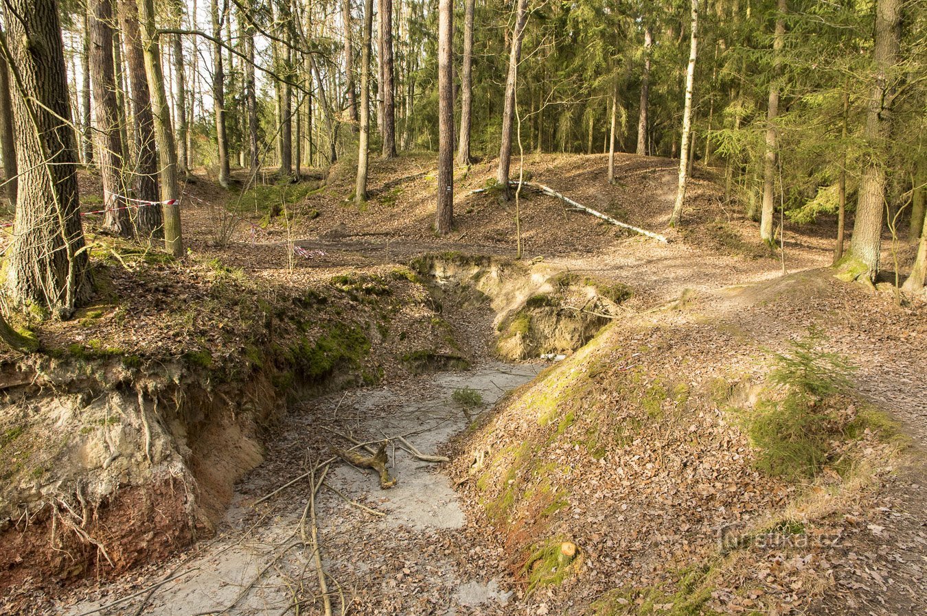 Semaine d'hiver à Šumava – Février 2020 pt. 1