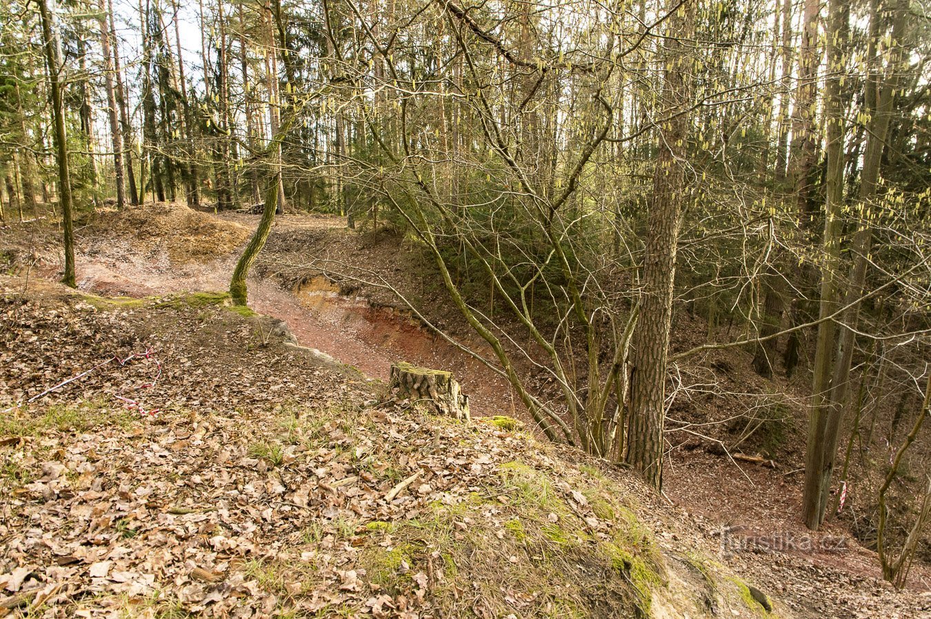 Semana de inverno em Šumava – fevereiro de 2020 pt. 1