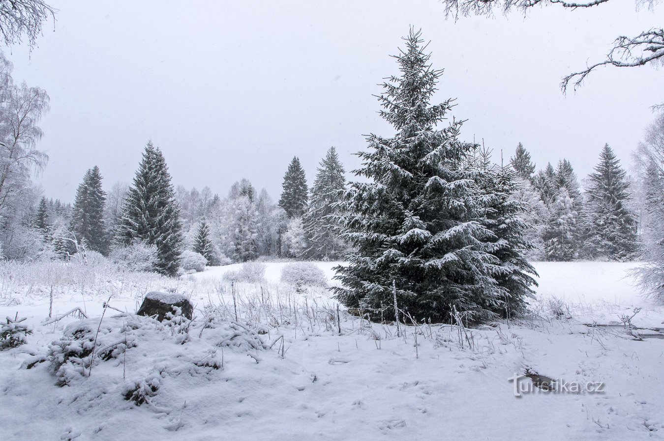 Winter week in Šumava – February 2020 pt. 2