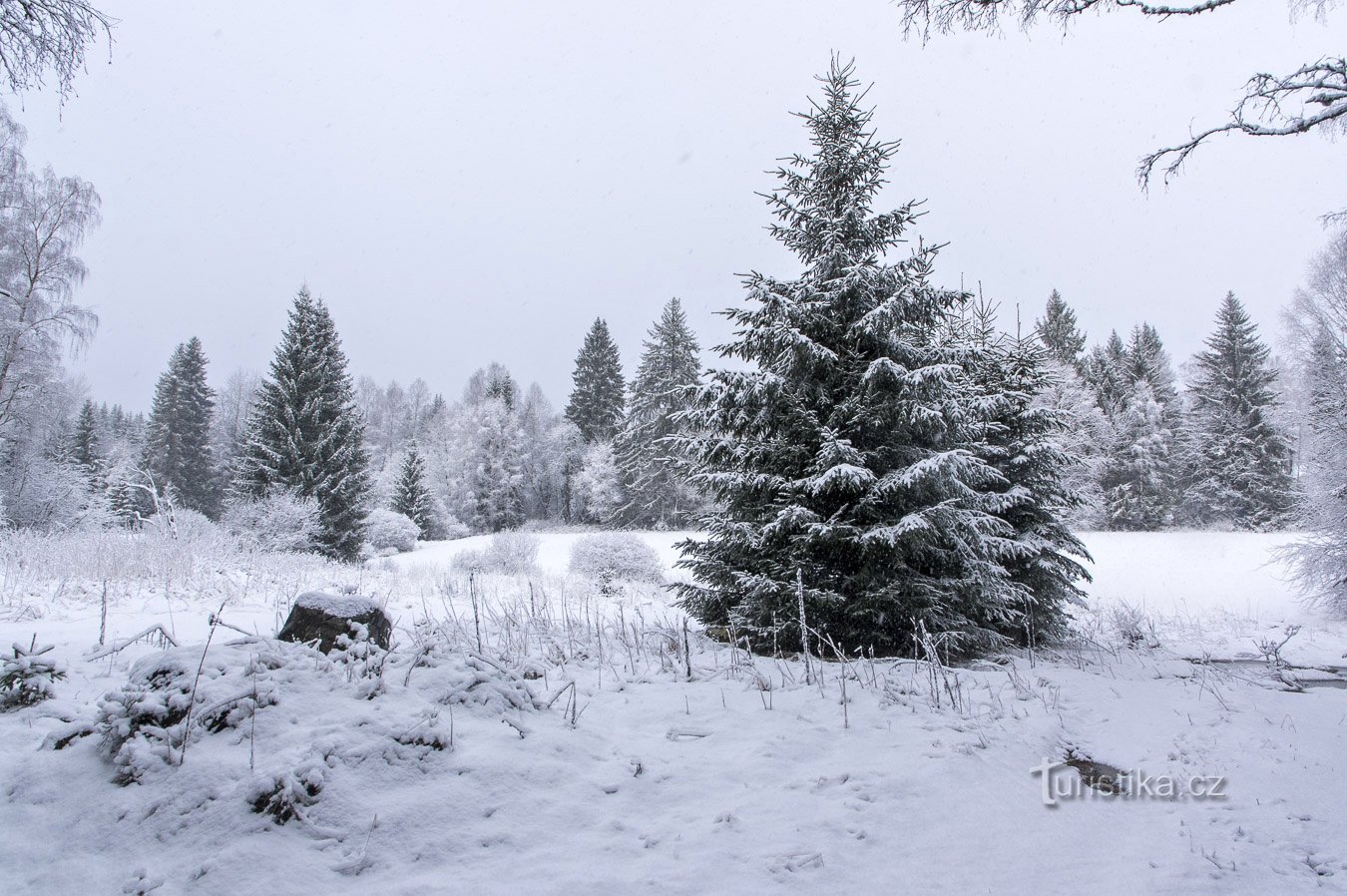 Tuần mùa đông ở Šumava - tháng 2020 năm 2 pt. XNUMX