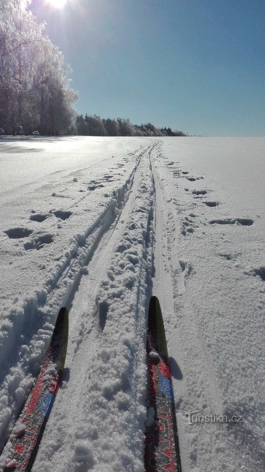Winterliches Hochland auf Langlaufskiern - Langlaufloipe in Rozkoša.