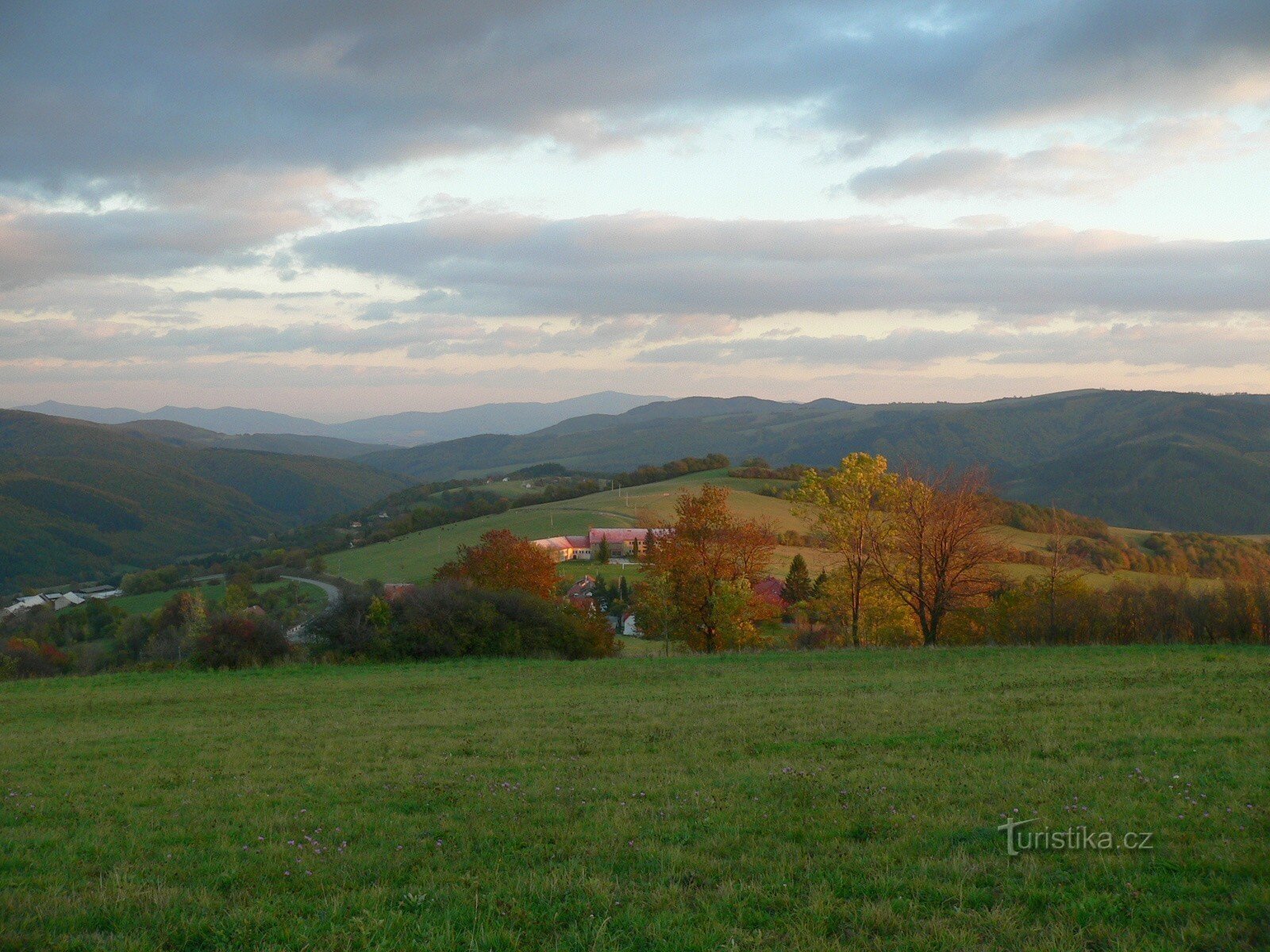 Raž