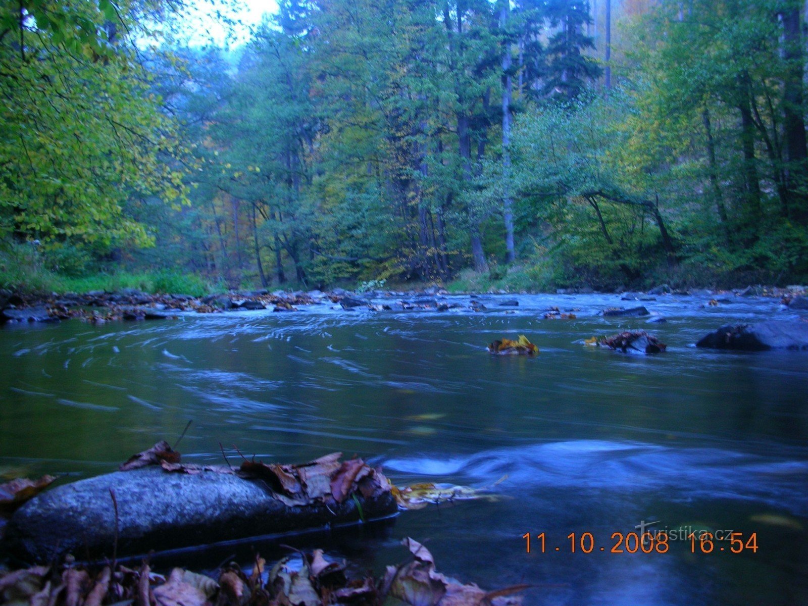 la rivière vivante Odra