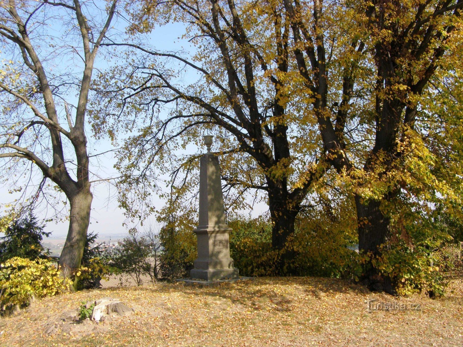 Žižek's table