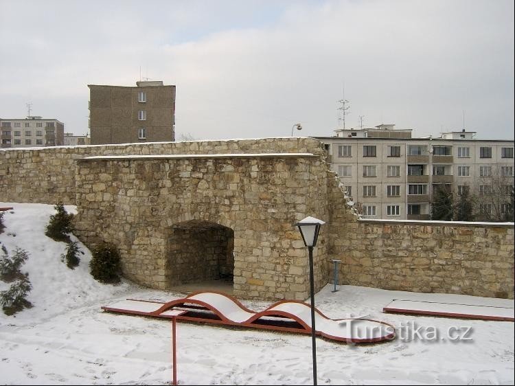 Skamieniały las na terenie bastionu miejskiego