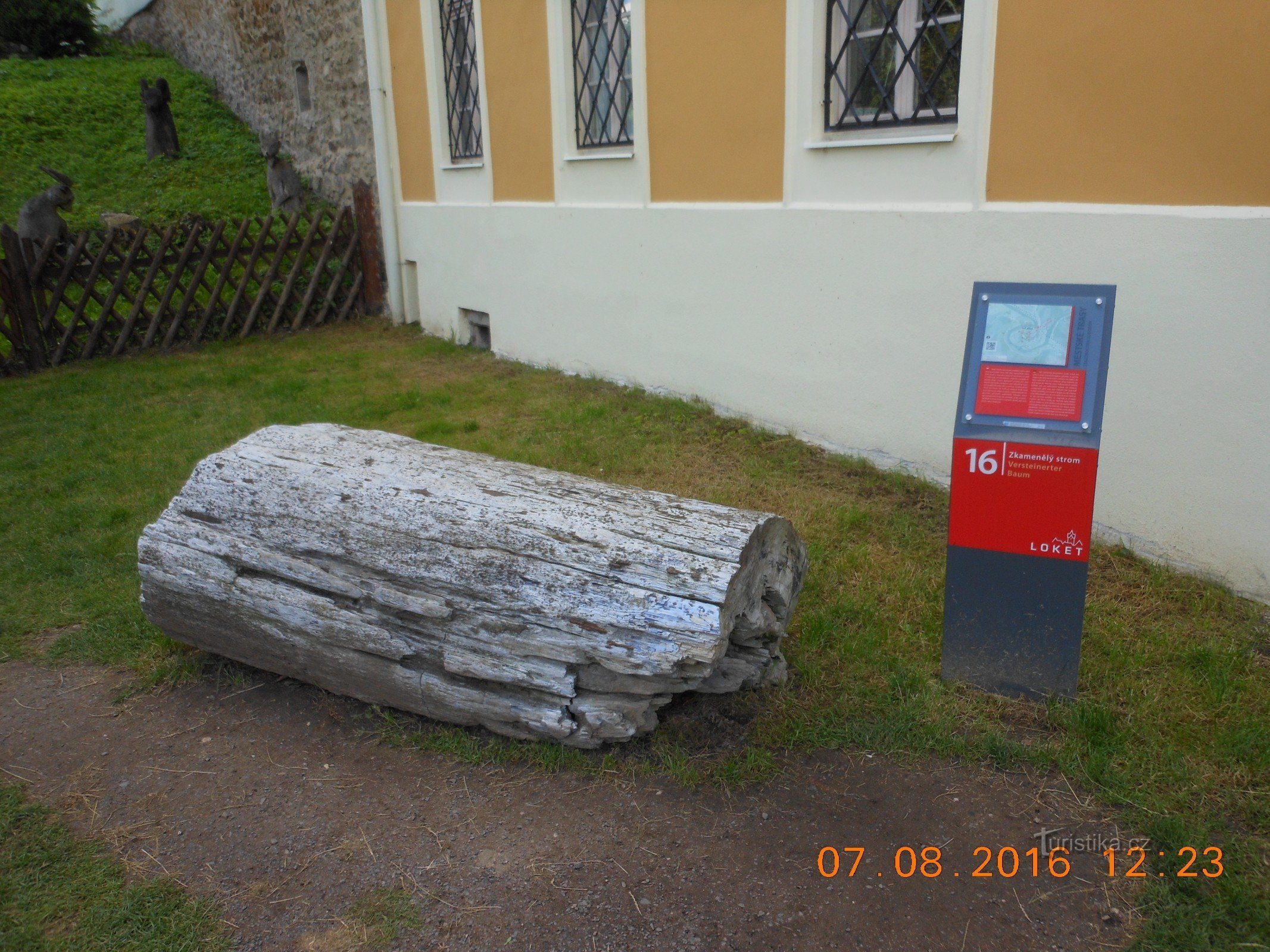 The petrified tree in Lokti