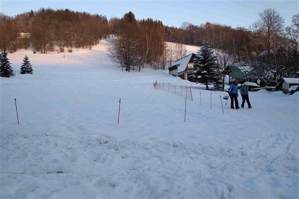 Злата Олешнице