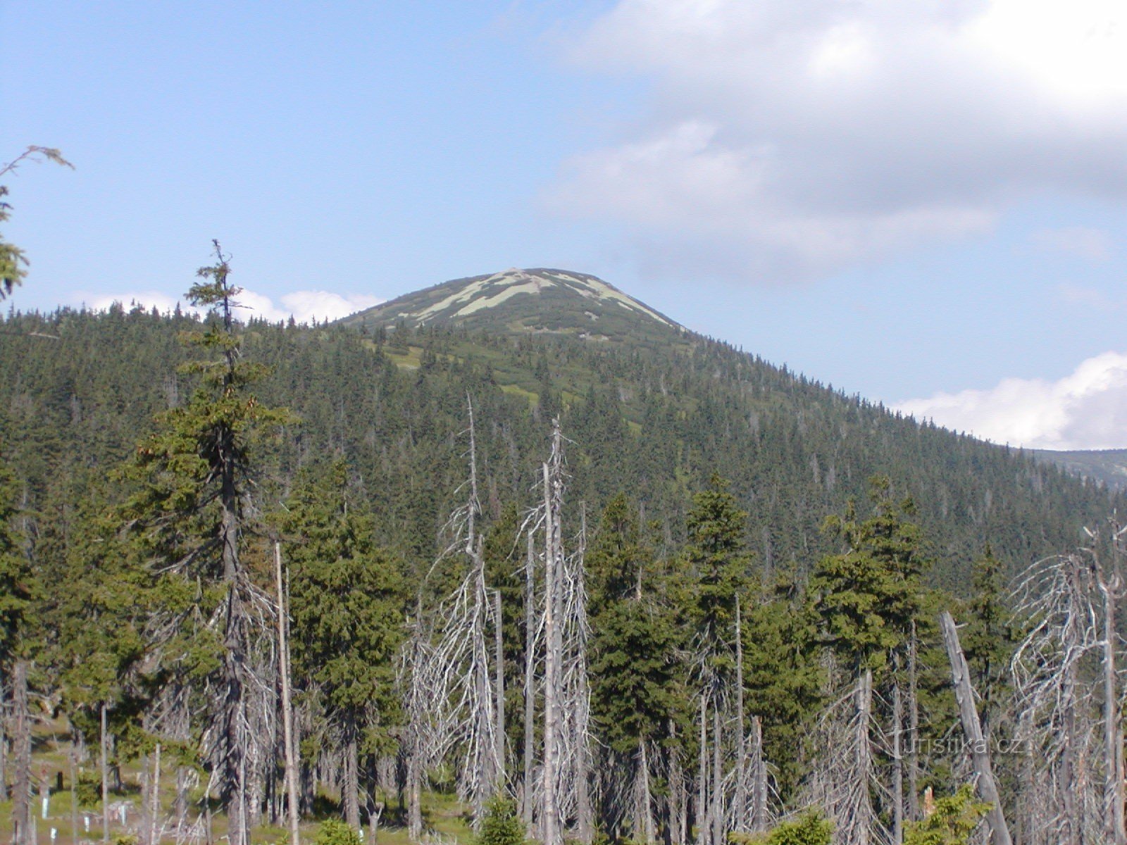 Colline dorée