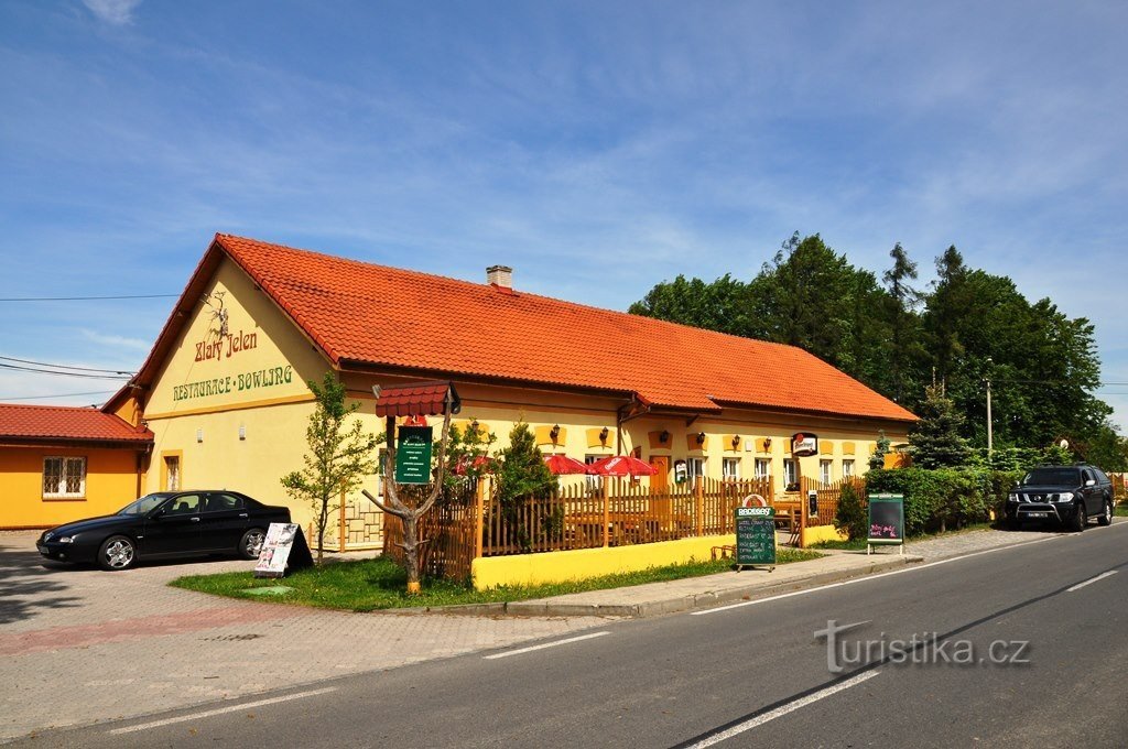 Zlatni jelen