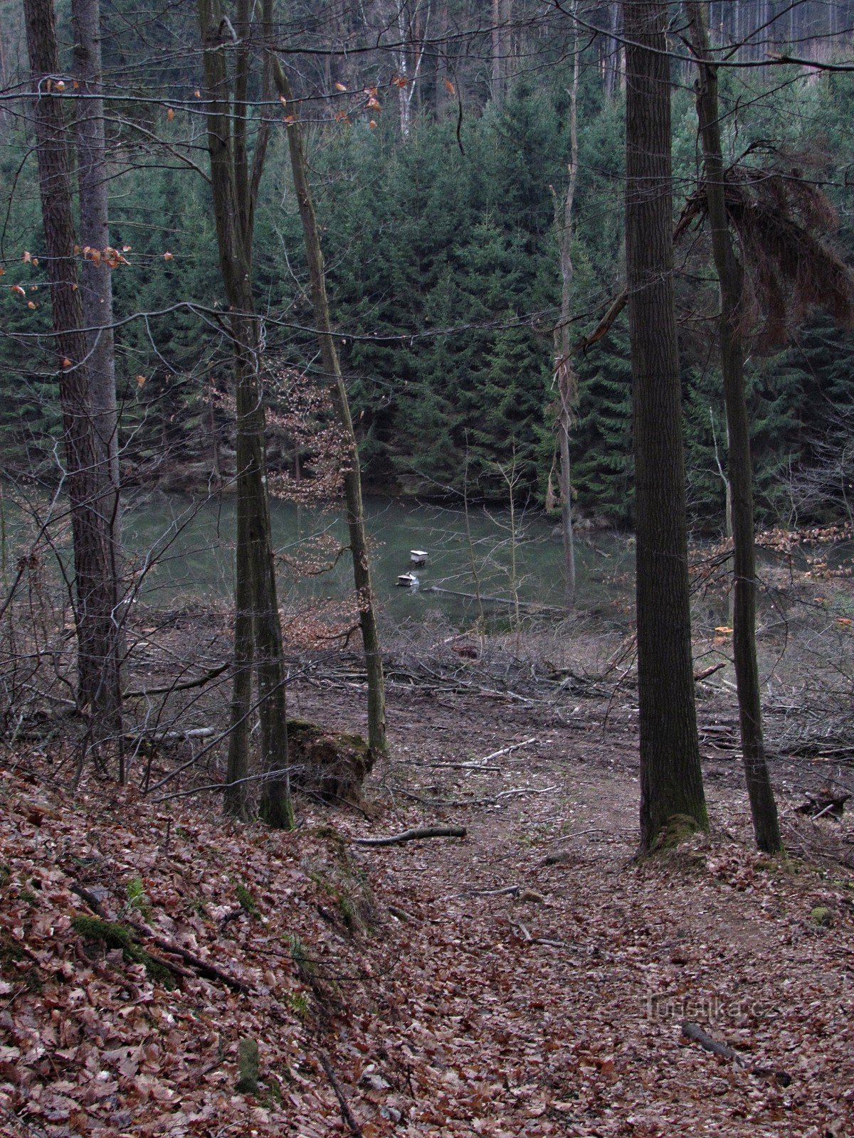 Zlín - Fourth Zboženský pond