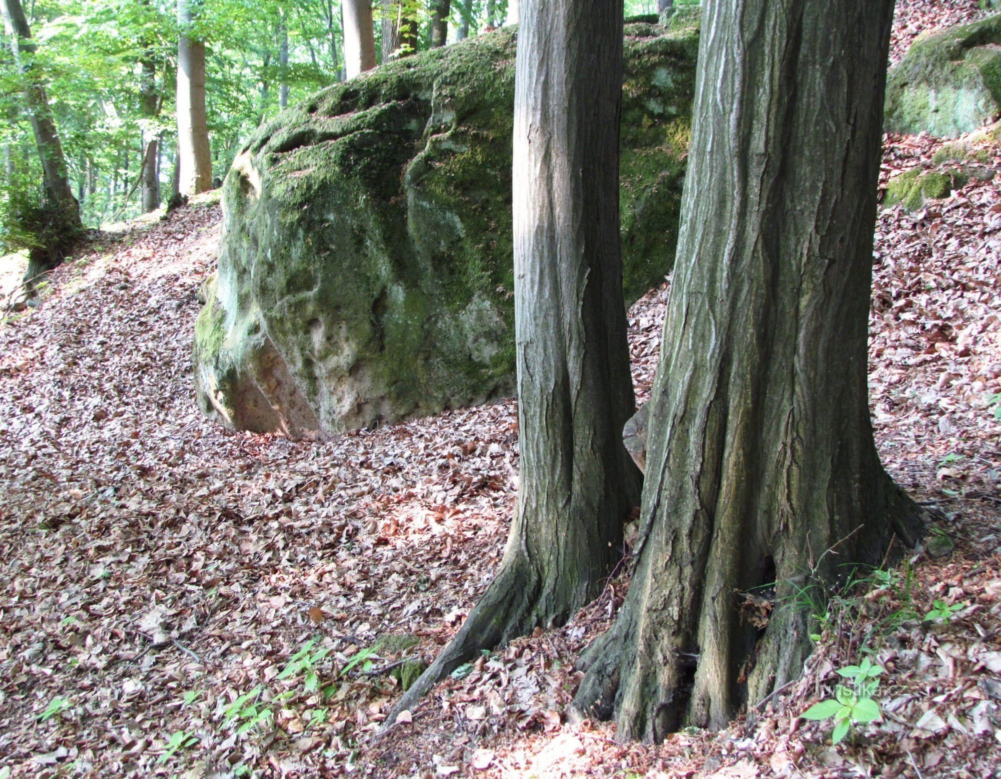 Zlín - Front hill