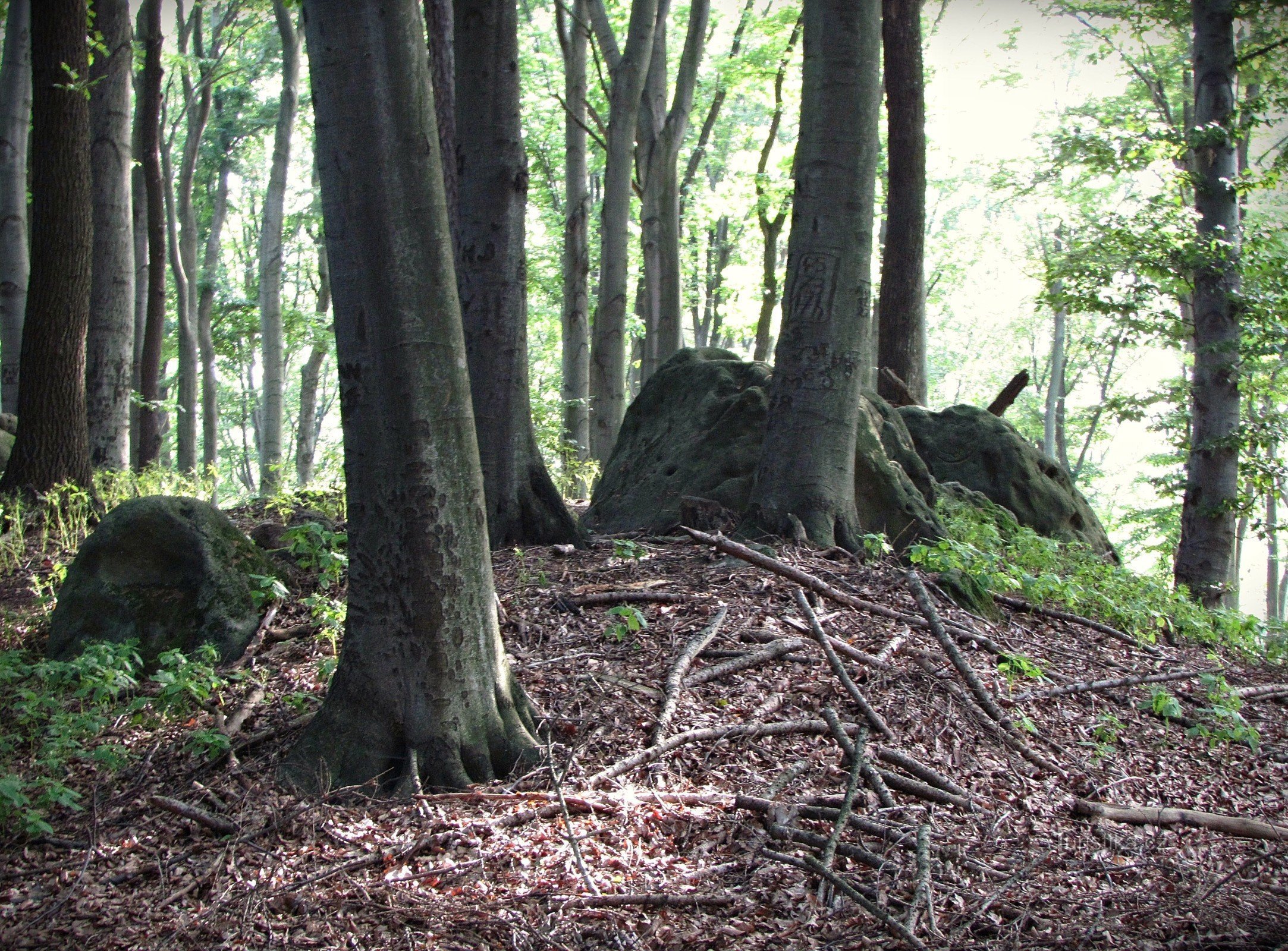 Zlín - Középső domb