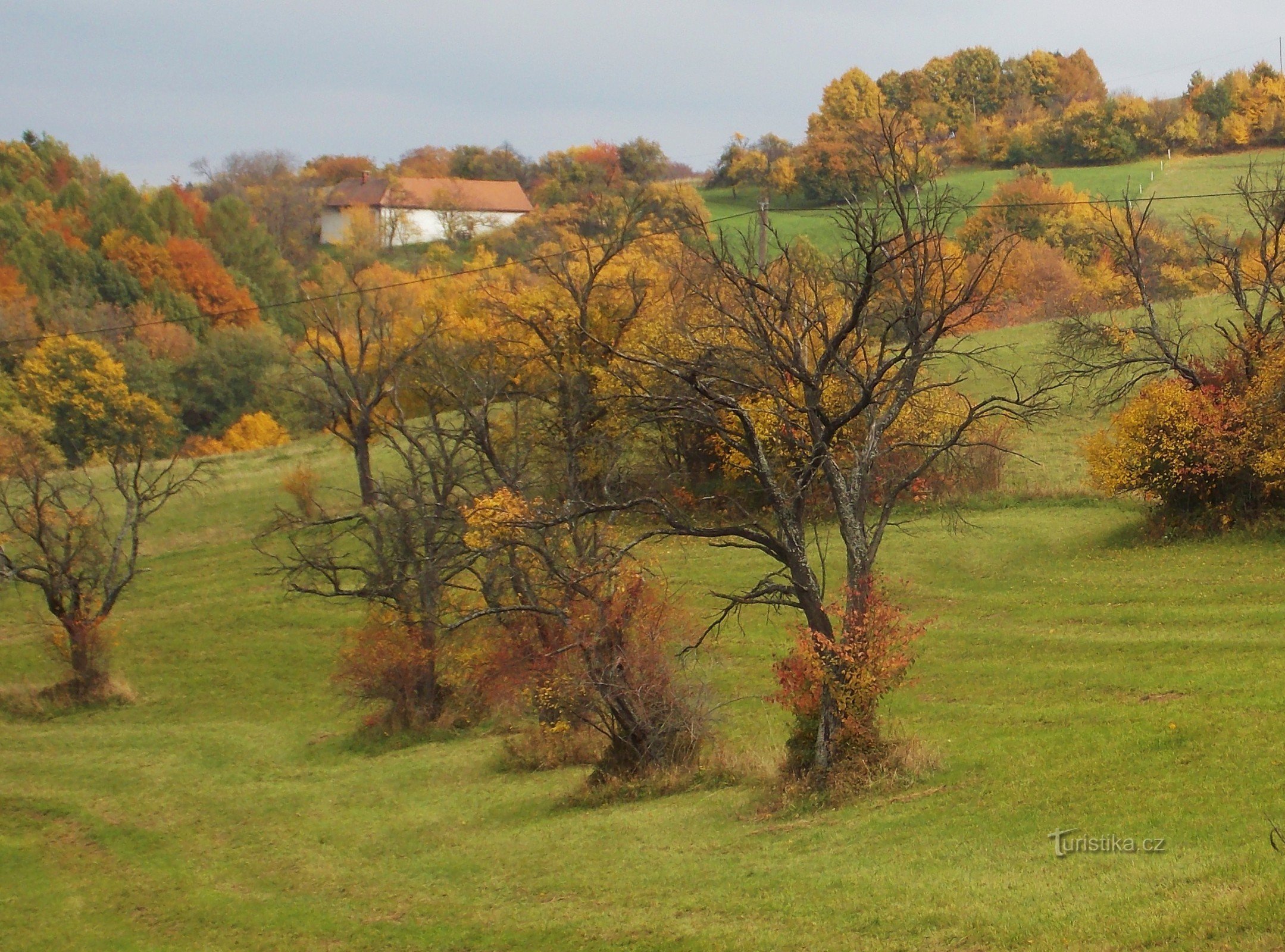 Zlín - Želechovice clearings