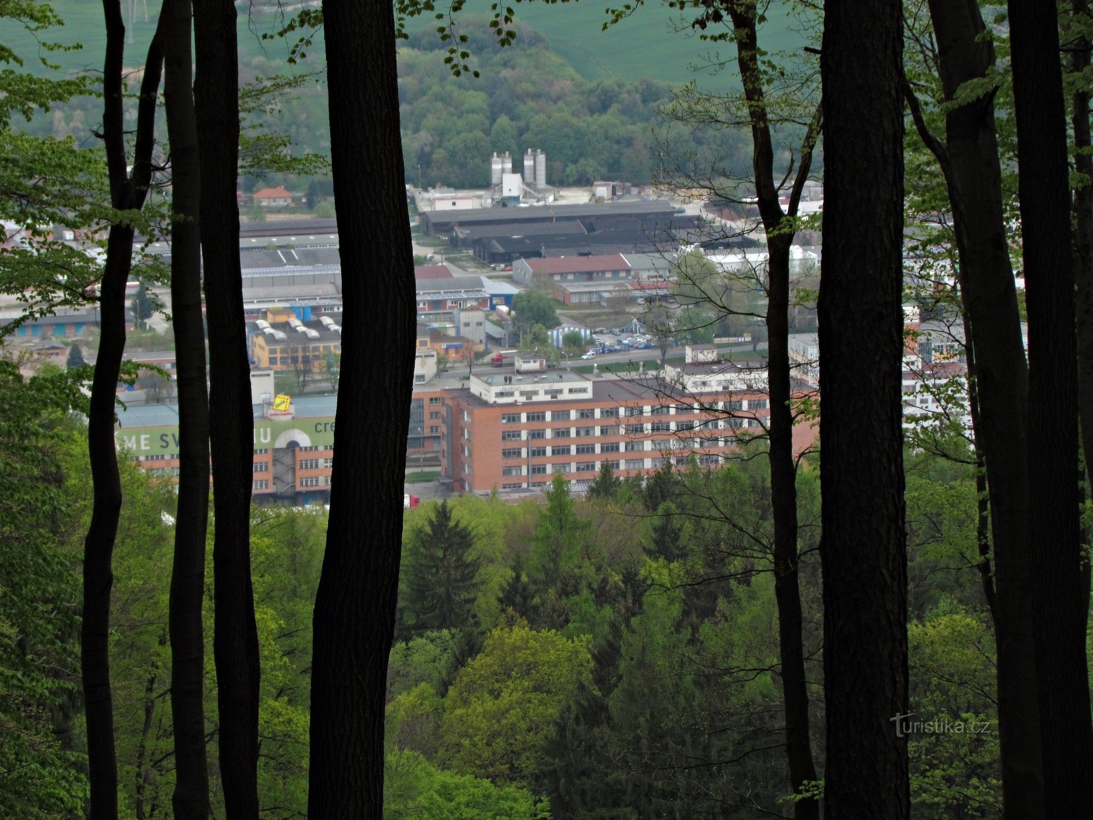 兹林斯基