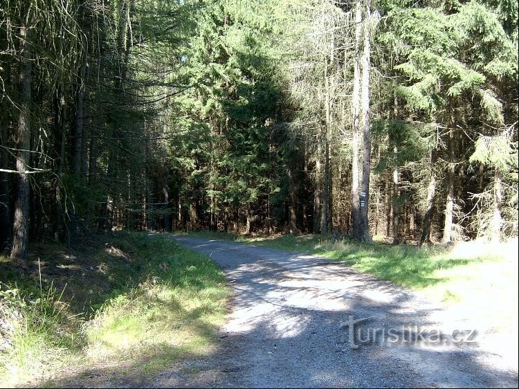 Gelb mit Blau: Blick vom Wegweiser nach Nordwesten