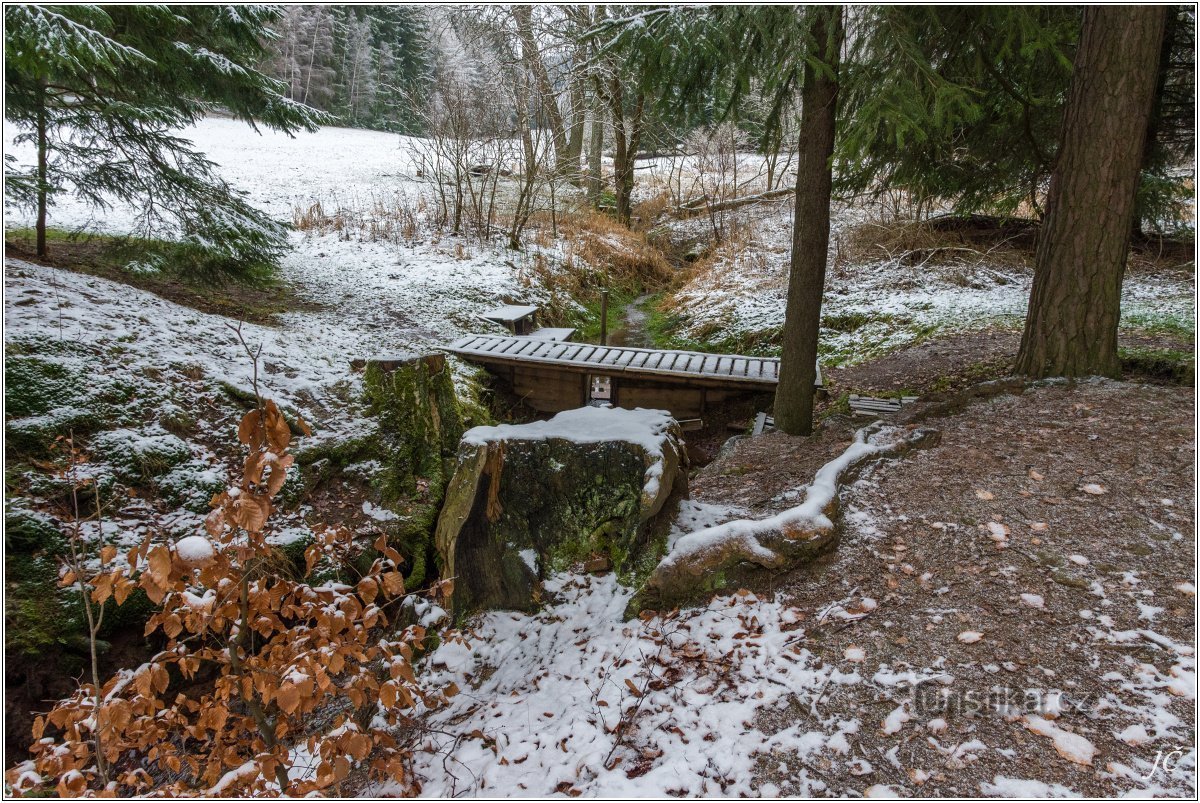 Viper well at Ruprechtic