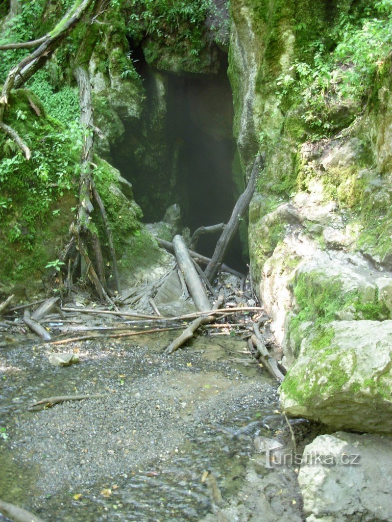 ルディケ沈下へのイェドヴニッケ川の消失