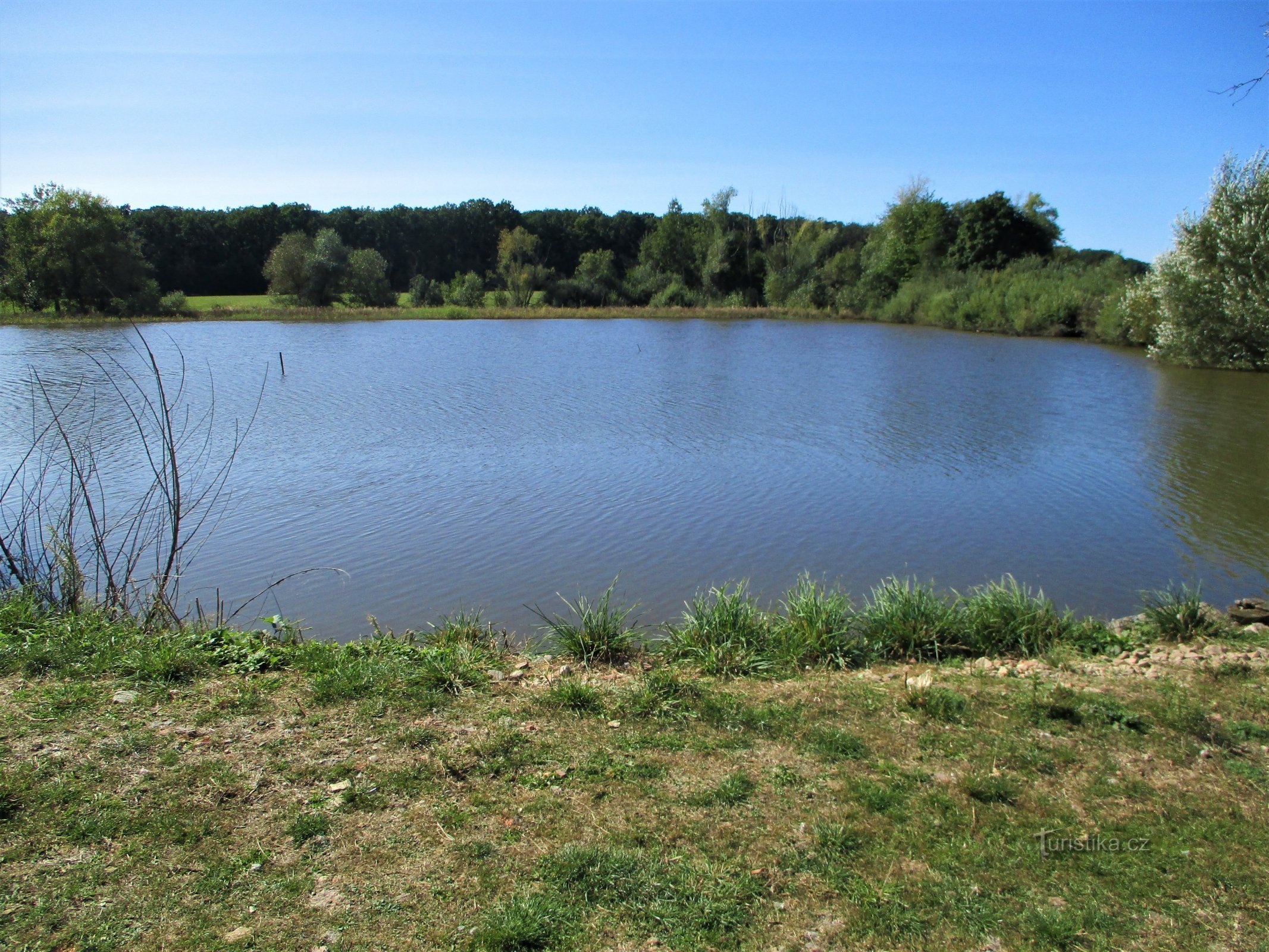 Zmotálek (Obědovice, 18.9.2020. XNUMX. XNUMX.)