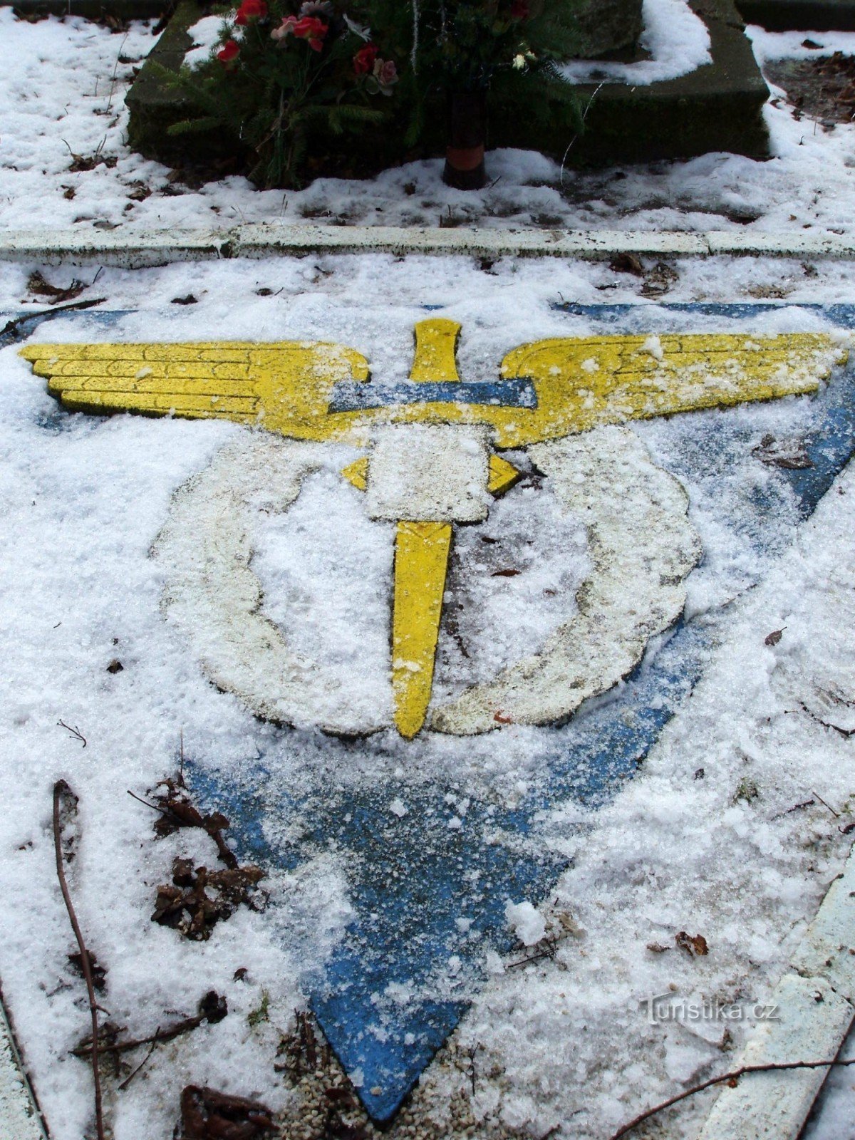 insignia of the Air Force