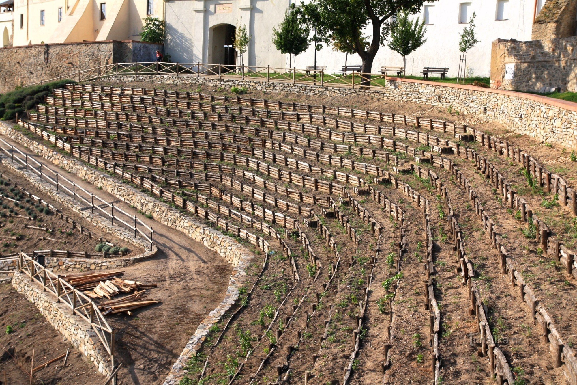 Znojmo - Jardín del Edén, viñedo recién establecido