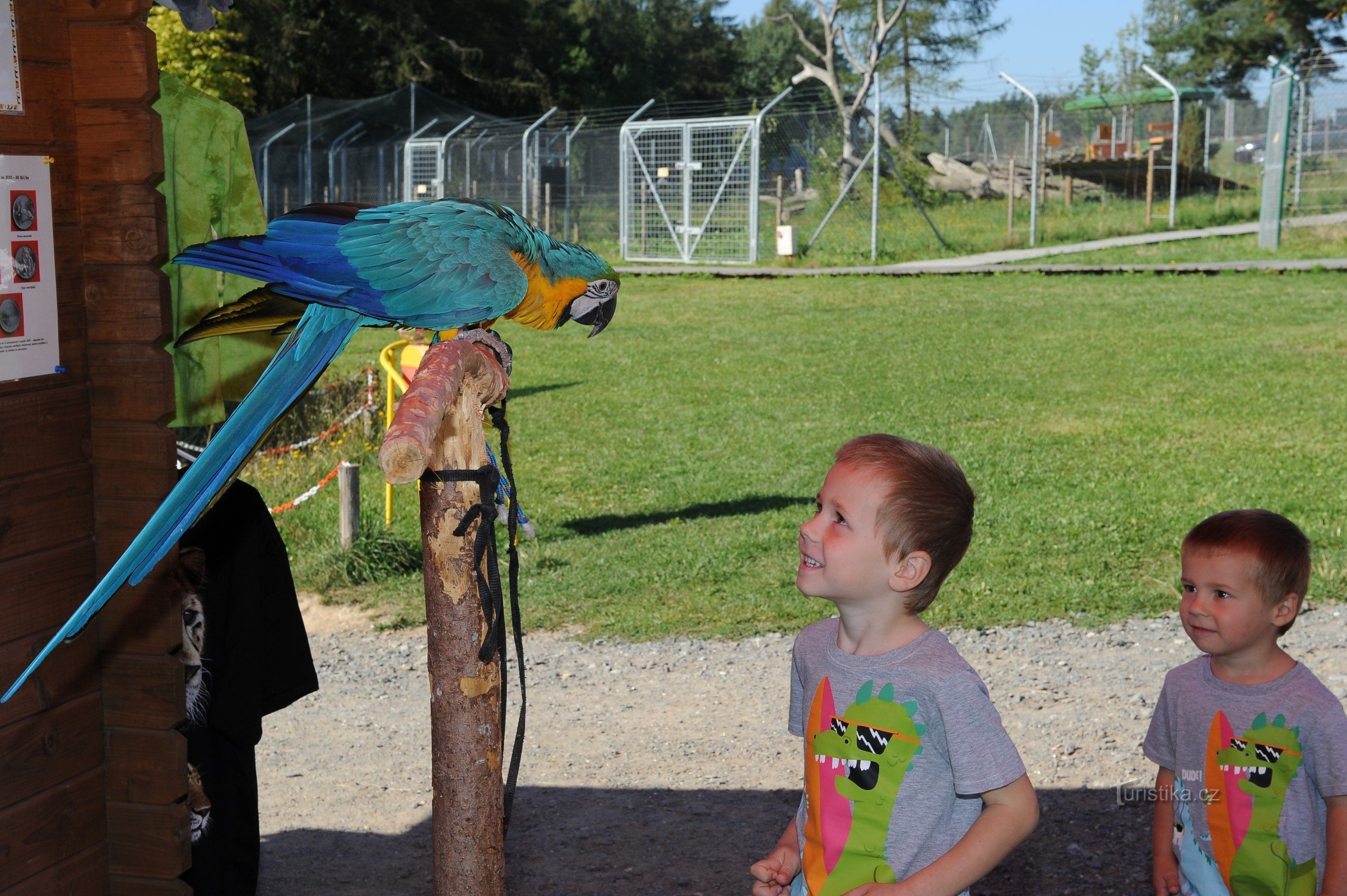 GRĂDINĂ ZOOLOGICĂ