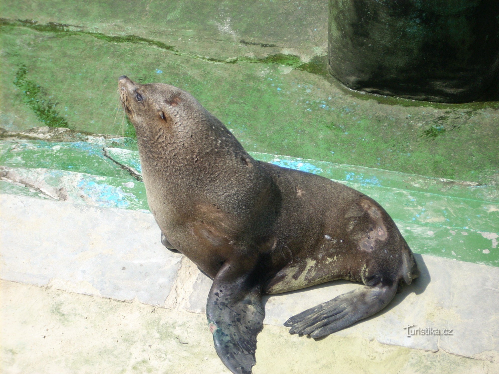 Grădina Zoologică din Brno