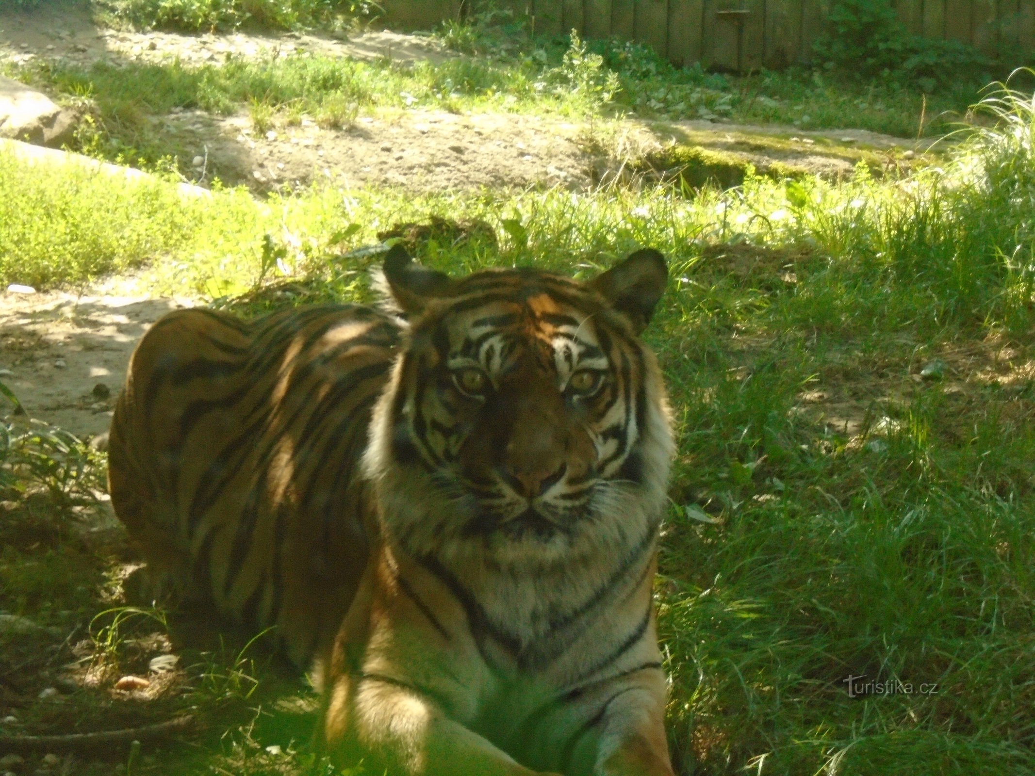 ZOO BRNO