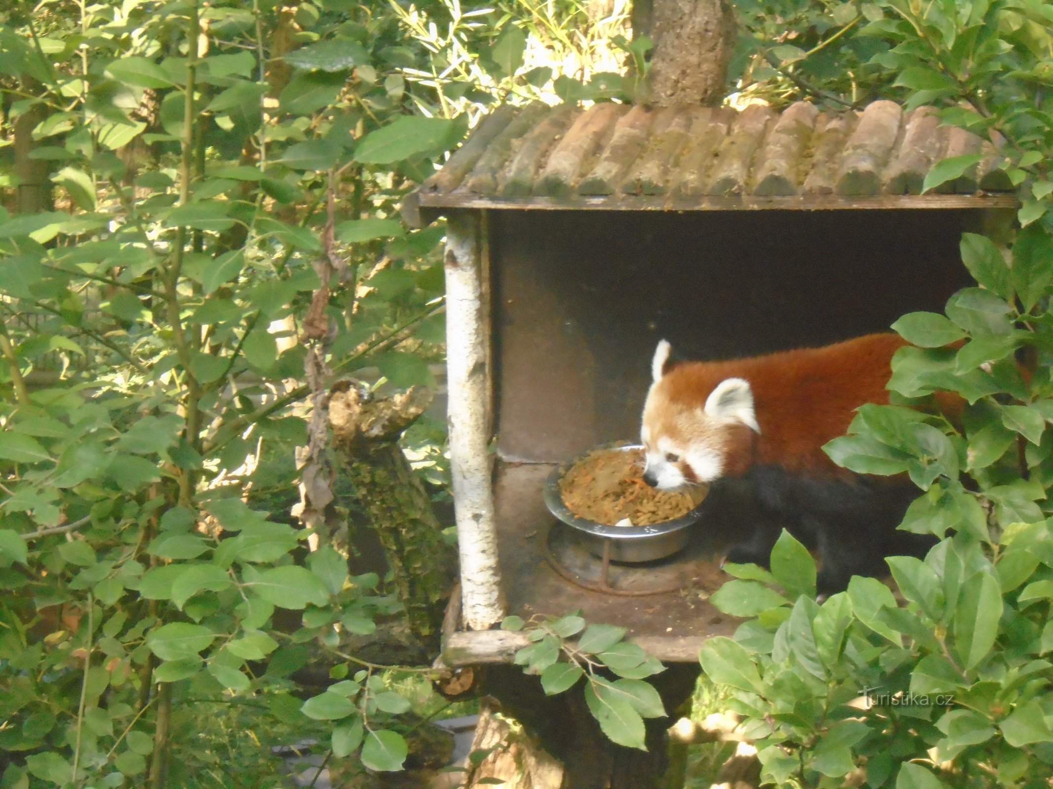 Zoológico de Brno