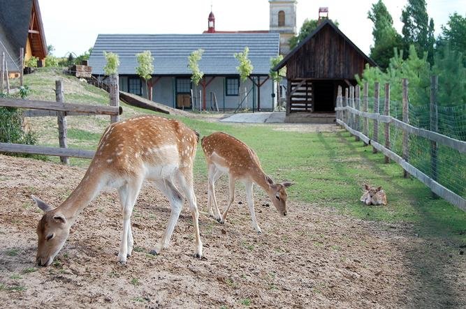 Grădina Zoologică Chleby