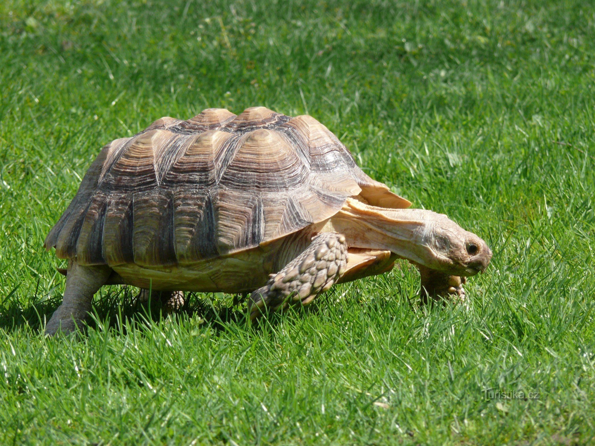 DIERENTUIN Chleby