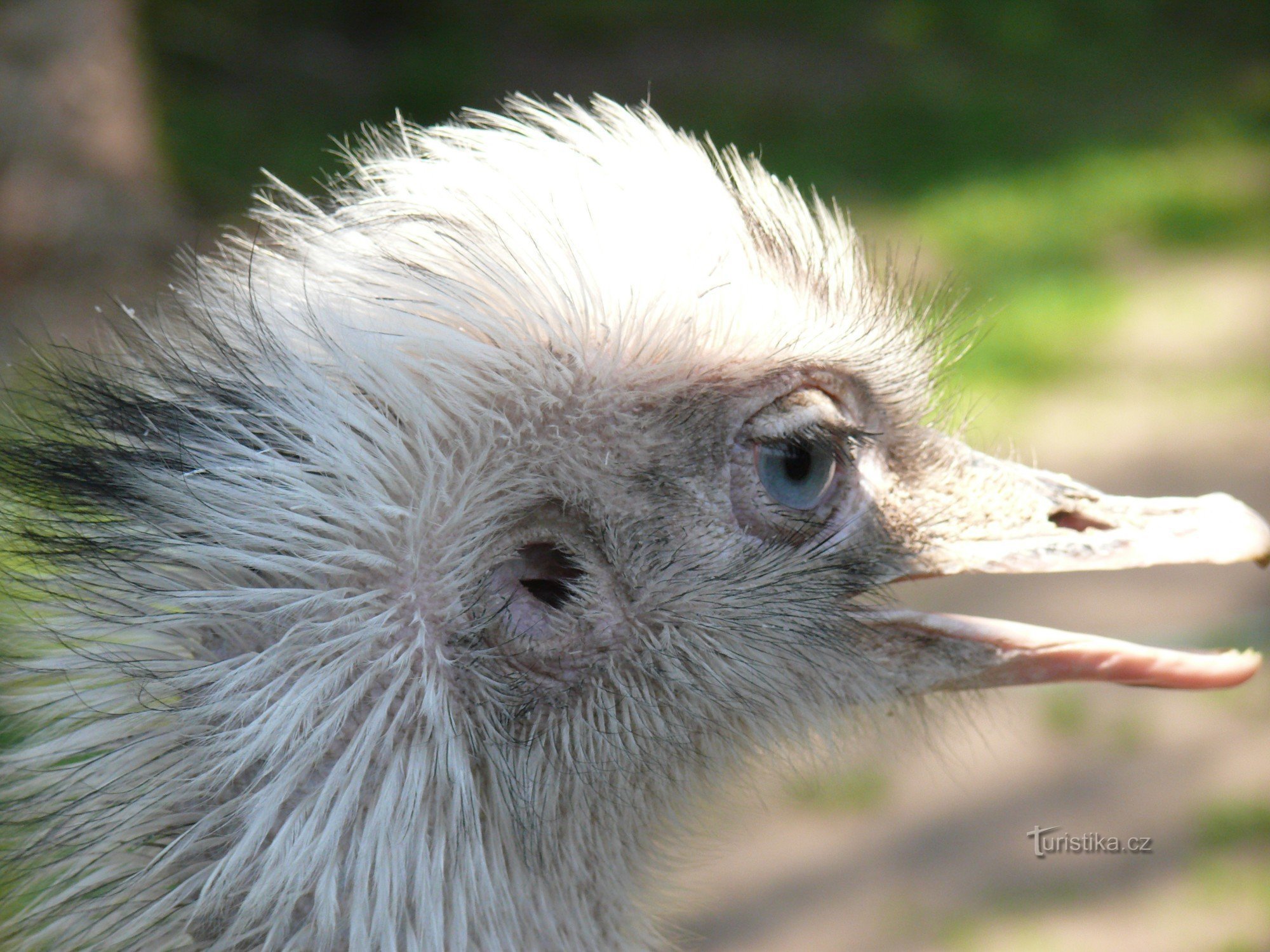 DIERENTUIN Chleby